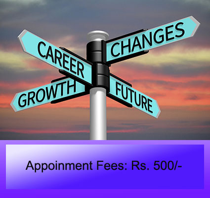 Career